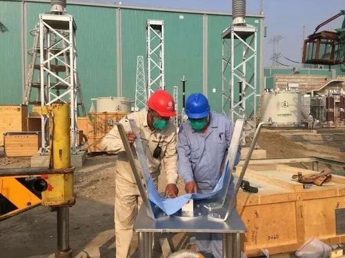 全面复工促发展，高端交付拓国际——平高电气加速推进五金交电项目